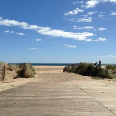 Proche De La Saint-Pierre-la-Mer (Aude)